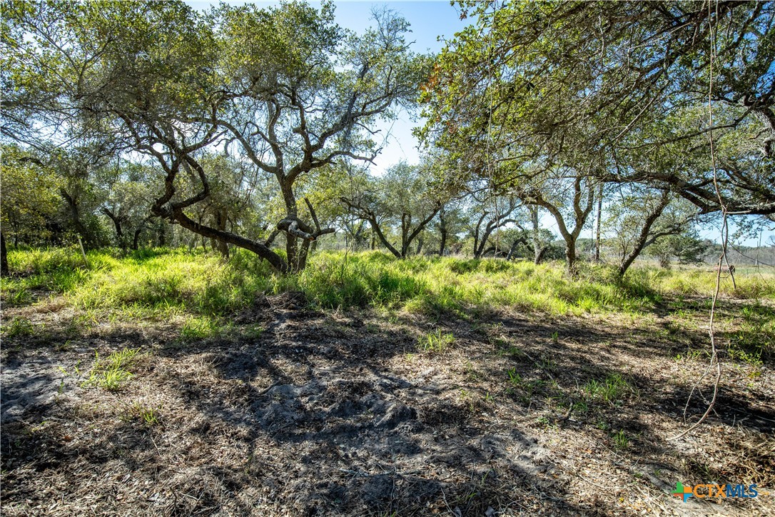 504 Shaver Road | 5.759± Acres | Aransas Pass, Aransas County, TX