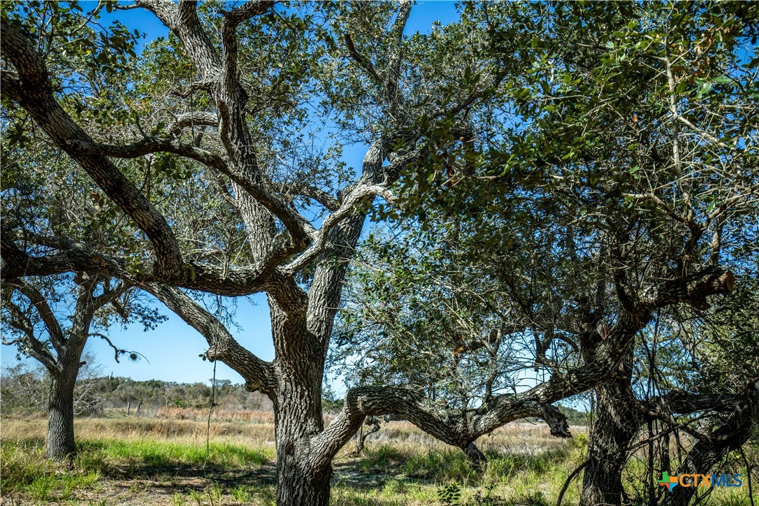 504 Shaver Road | 5.759± Acres | Aransas Pass, Aransas County, TX