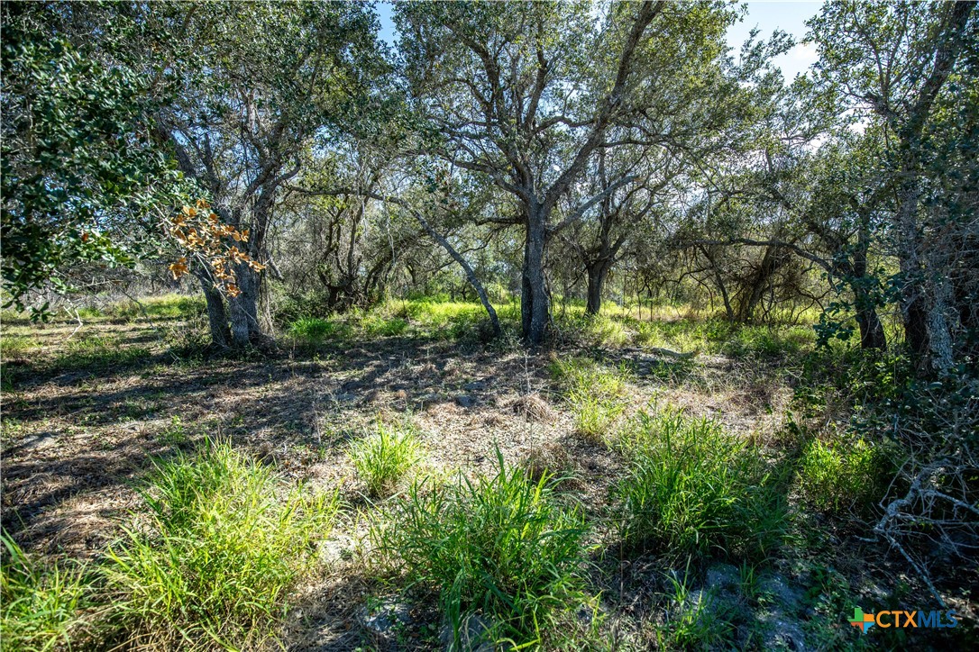 504 Shaver Road | 5.759± Acres | Aransas Pass, Aransas County, TX