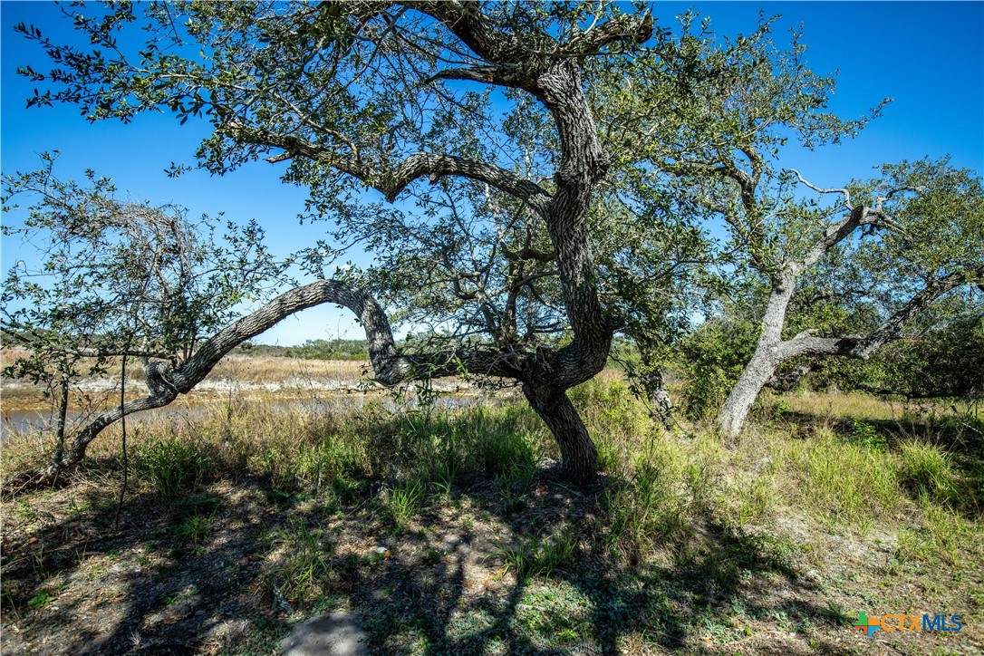504 Shaver Road | 5.759± Acres | Aransas Pass, Aransas County, TX