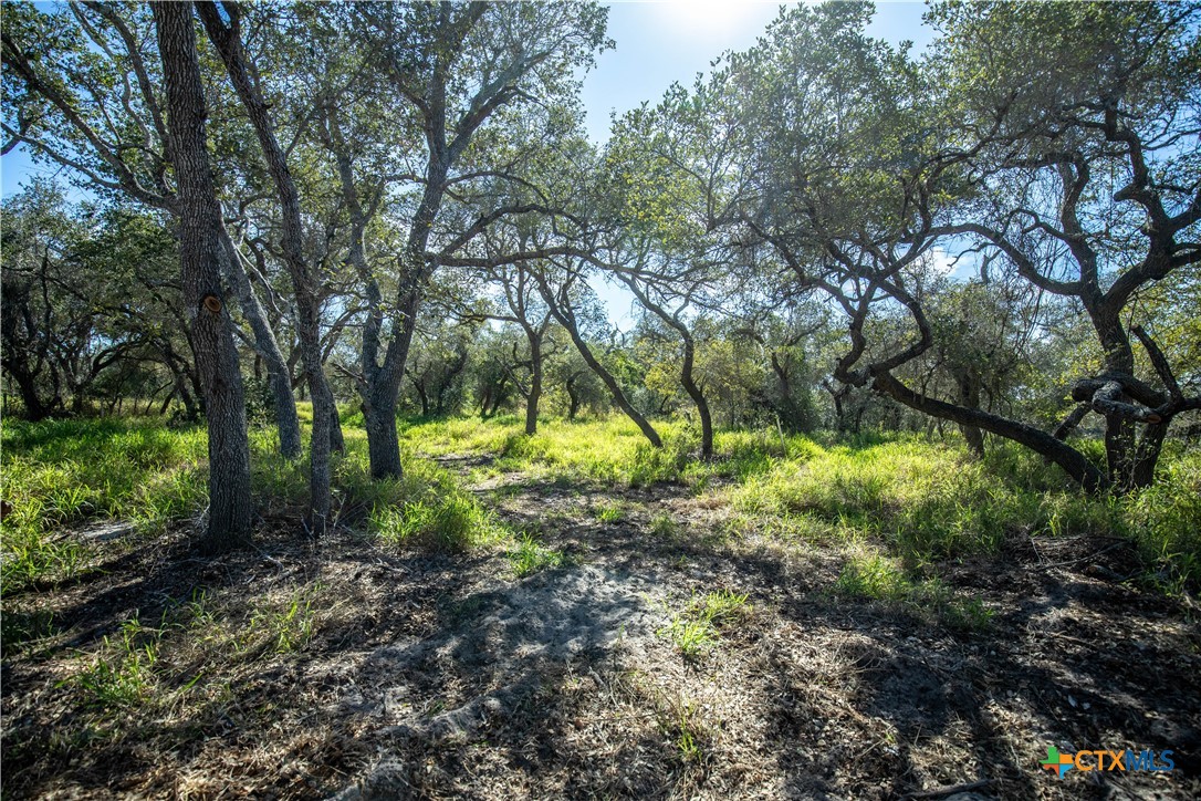 504 Shaver Road | 5.759± Acres | Aransas Pass, Aransas County, TX