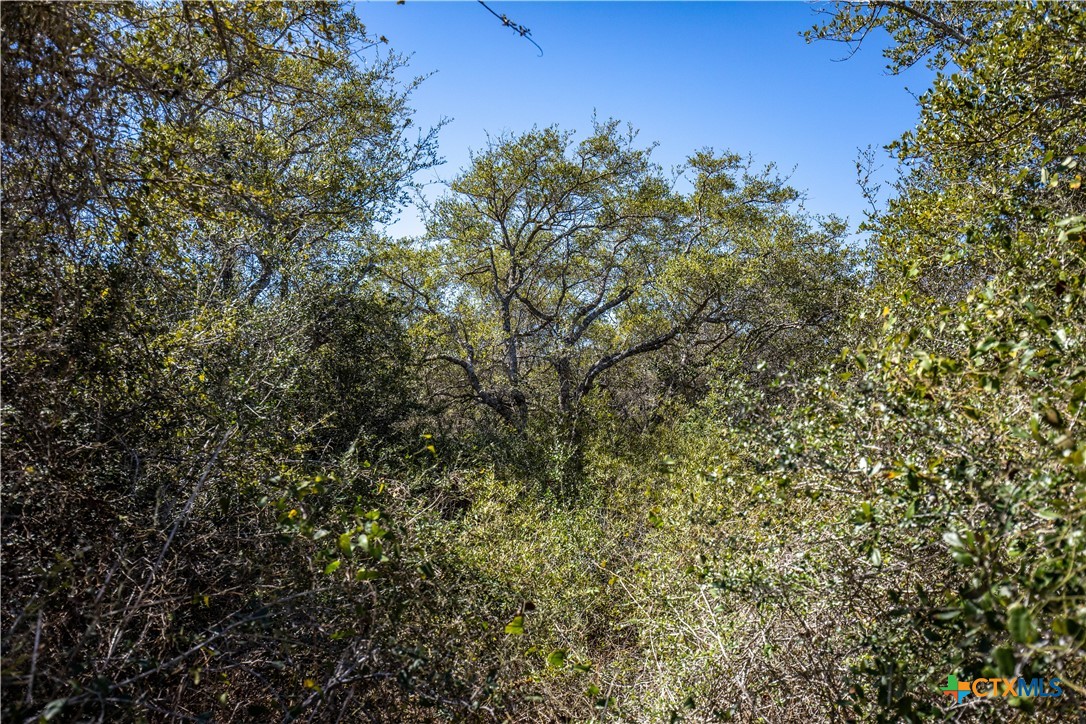 BLK A TR 13 Rhodes Avenue