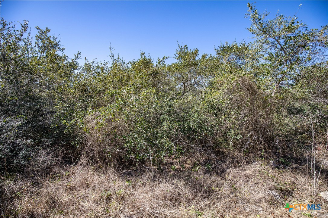 BLK A TR 13 Rhodes Avenue