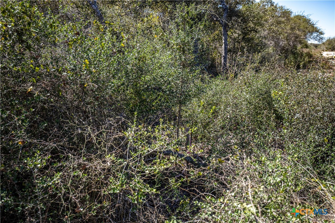 BLK A TR 13 Rhodes Avenue