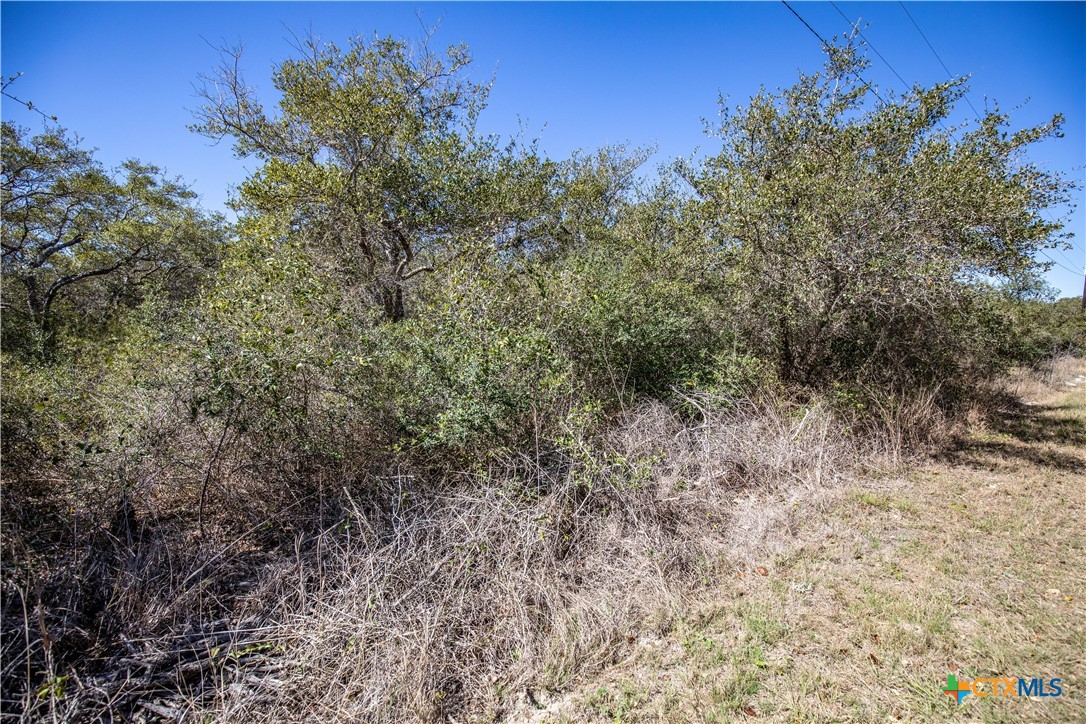 BLK A TR 13 Rhodes Avenue