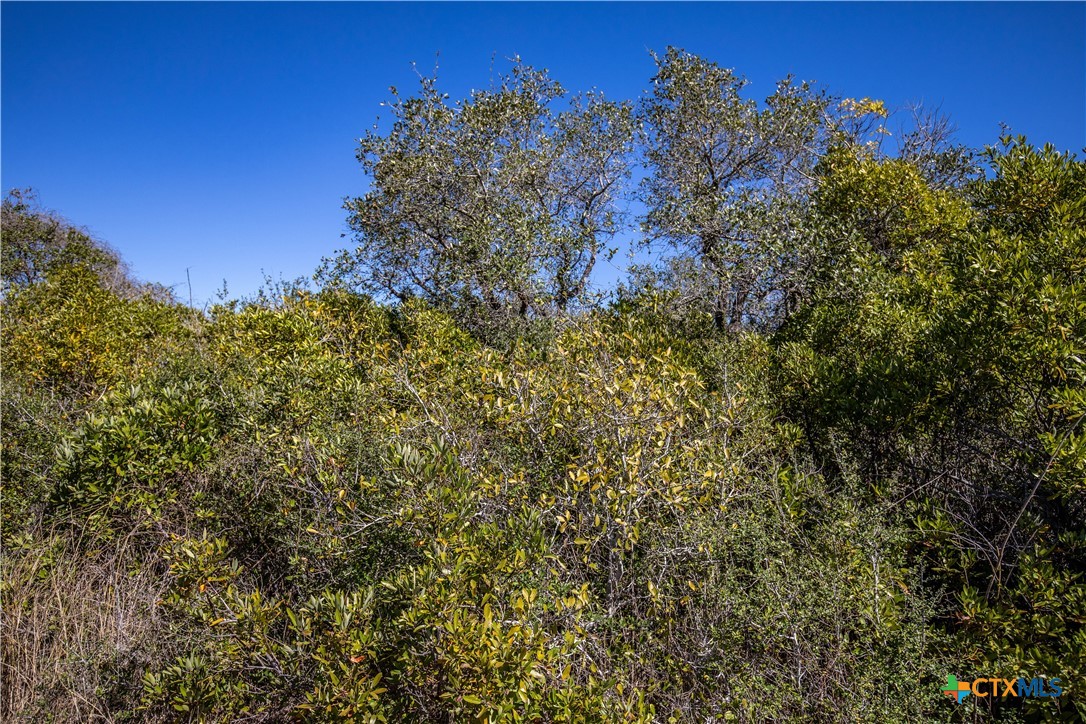 BLK A TR 13 Rhodes Avenue