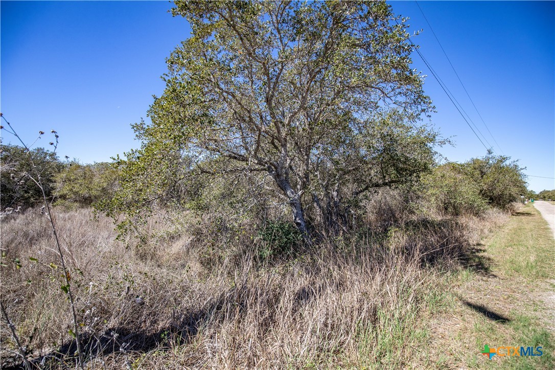 BLK A TR 13 Rhodes Avenue