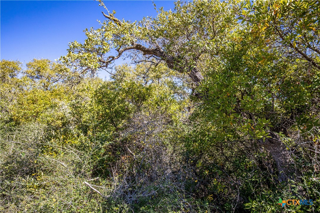 BLK A TR 13 Rhodes Avenue