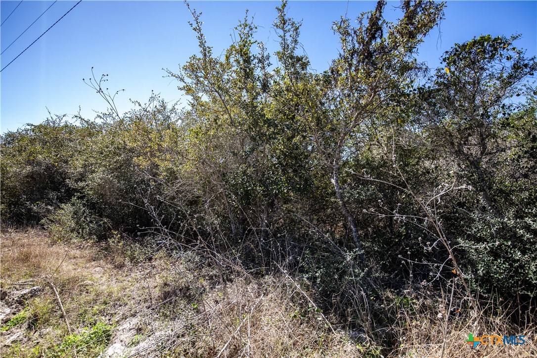 BLK A TR 13 Rhodes Avenue