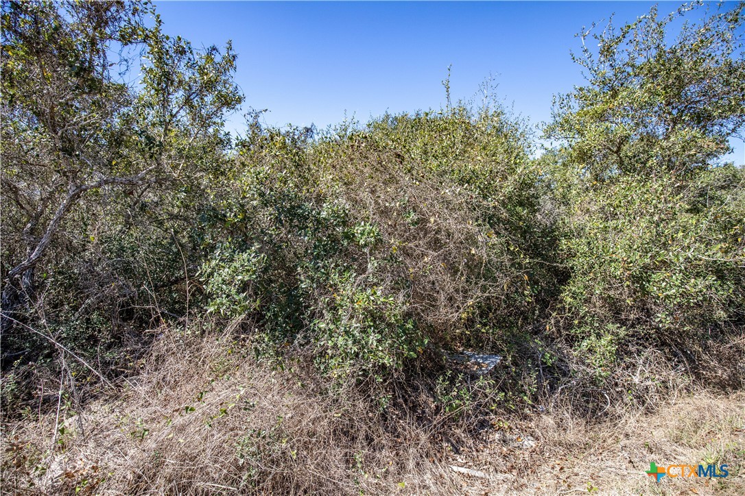 BLK A TR 13 Rhodes Avenue