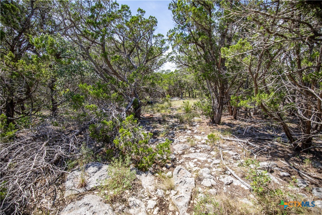 0 Lake View Trail