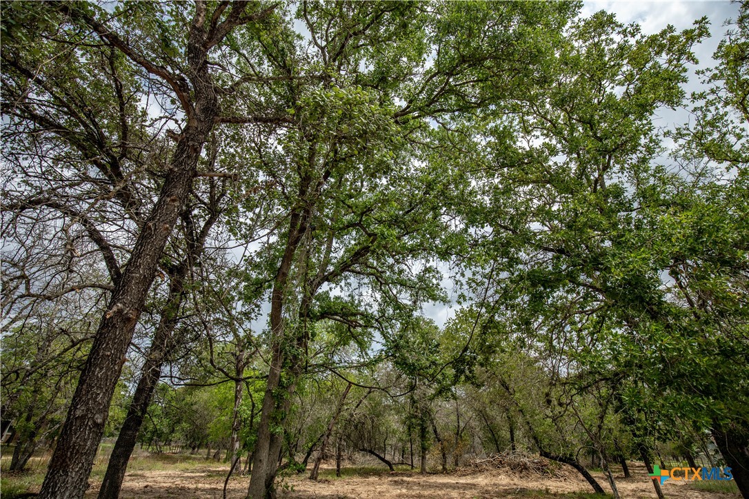 The Corner Pocket | 113 +/- Acres | Wilson County