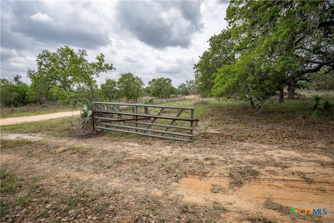 The Corner Pocket | 116 +/- Acres | Wilson County