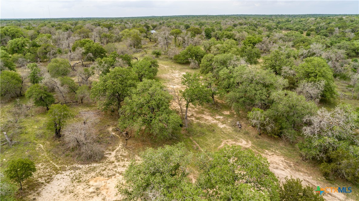 The Corner Pocket | 113 +/- Acres | Wilson County