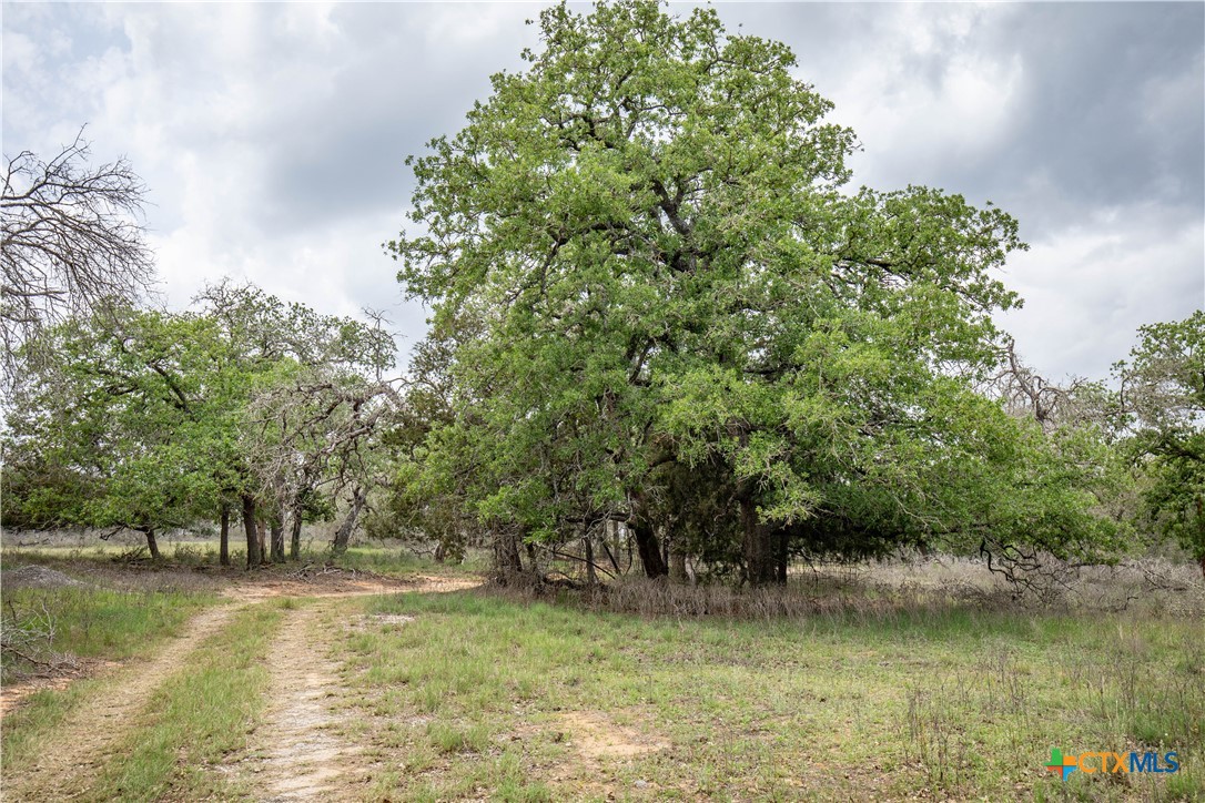 The Corner Pocket | 116 +/- Acres | Wilson County