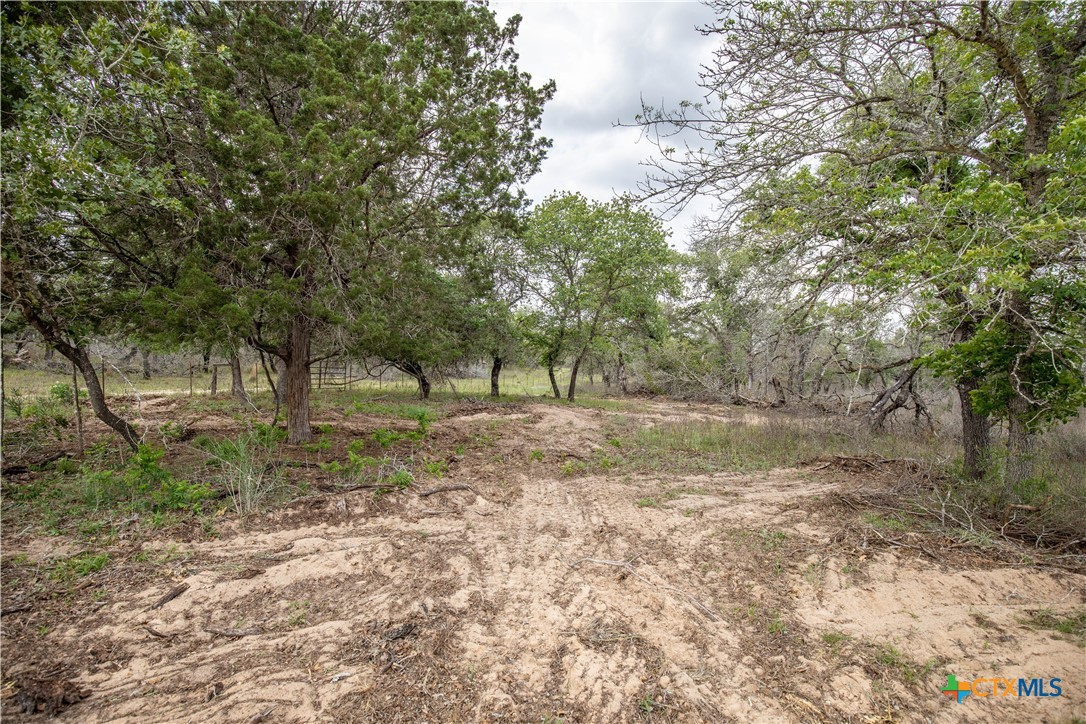 The Corner Pocket | 113 +/- Acres | Wilson County