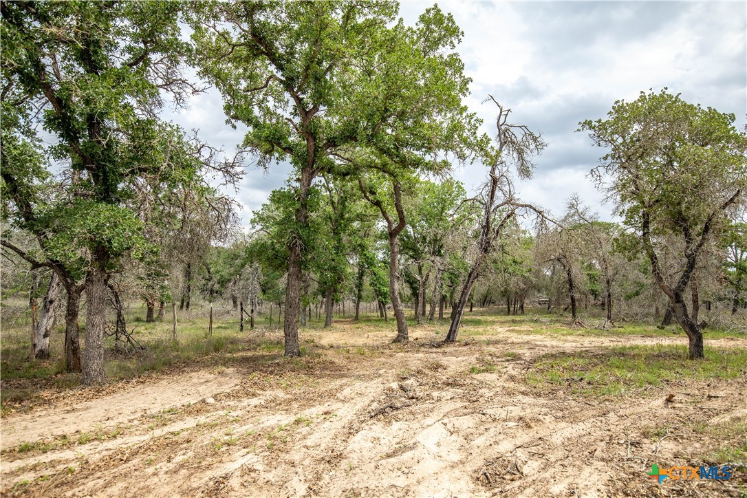 The Corner Pocket | 116 +/- Acres | Wilson County
