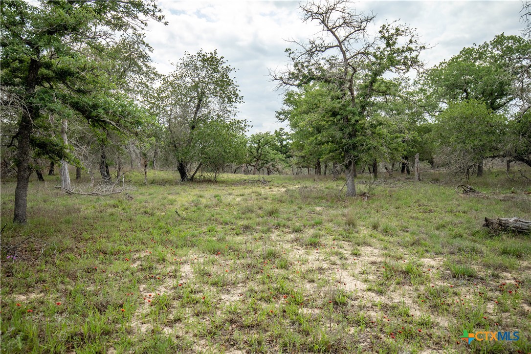 The Corner Pocket | 116 +/- Acres | Wilson County