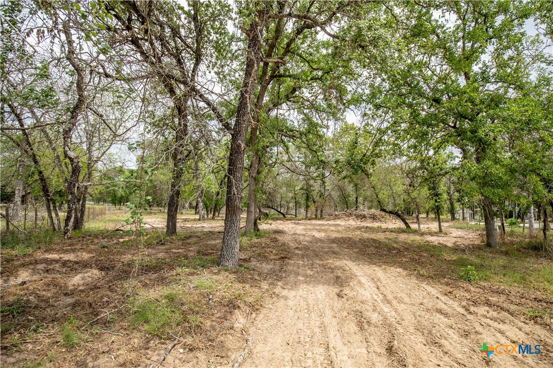 The Corner Pocket | 113 +/- Acres | Wilson County