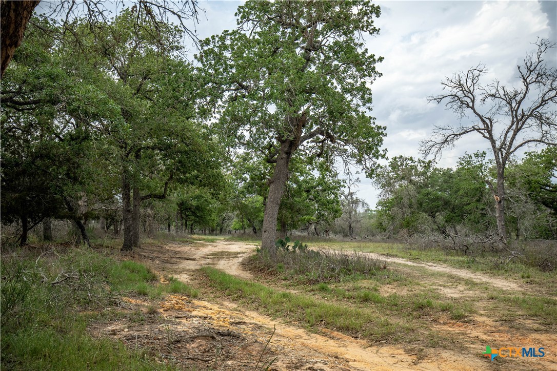 The Corner Pocket | 116 +/- Acres | Wilson County