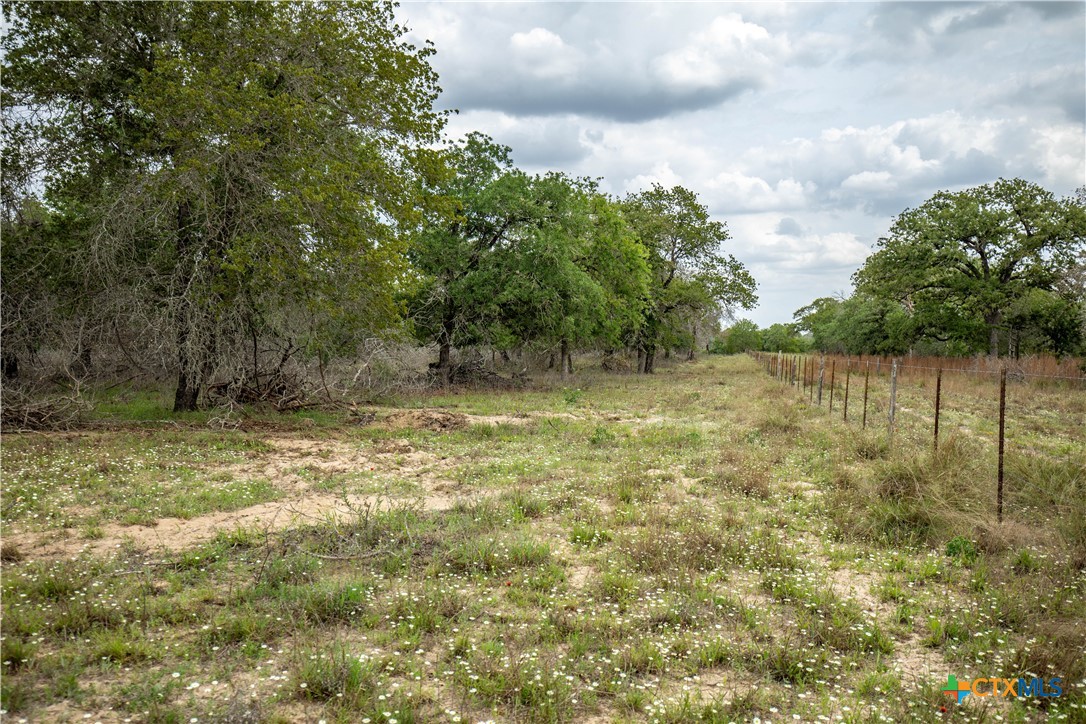 The Corner Pocket | 116 +/- Acres | Wilson County
