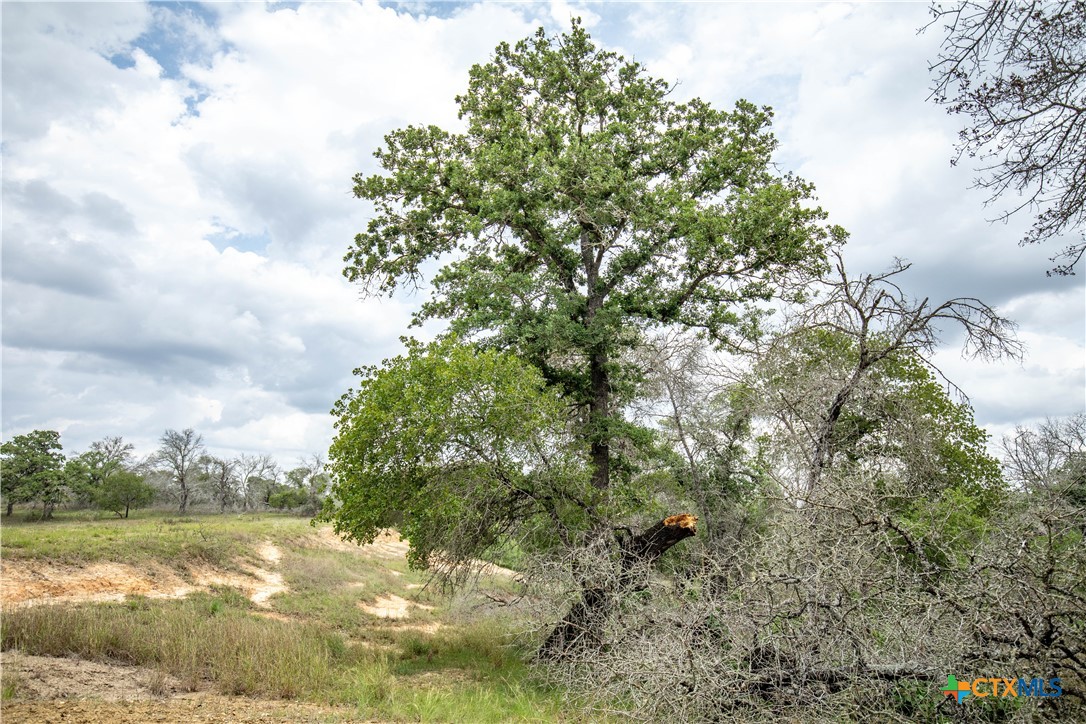 The Corner Pocket | 113 +/- Acres | Wilson County