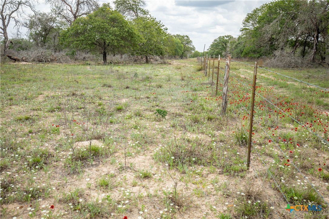 The Corner Pocket | 116 +/- Acres | Wilson County