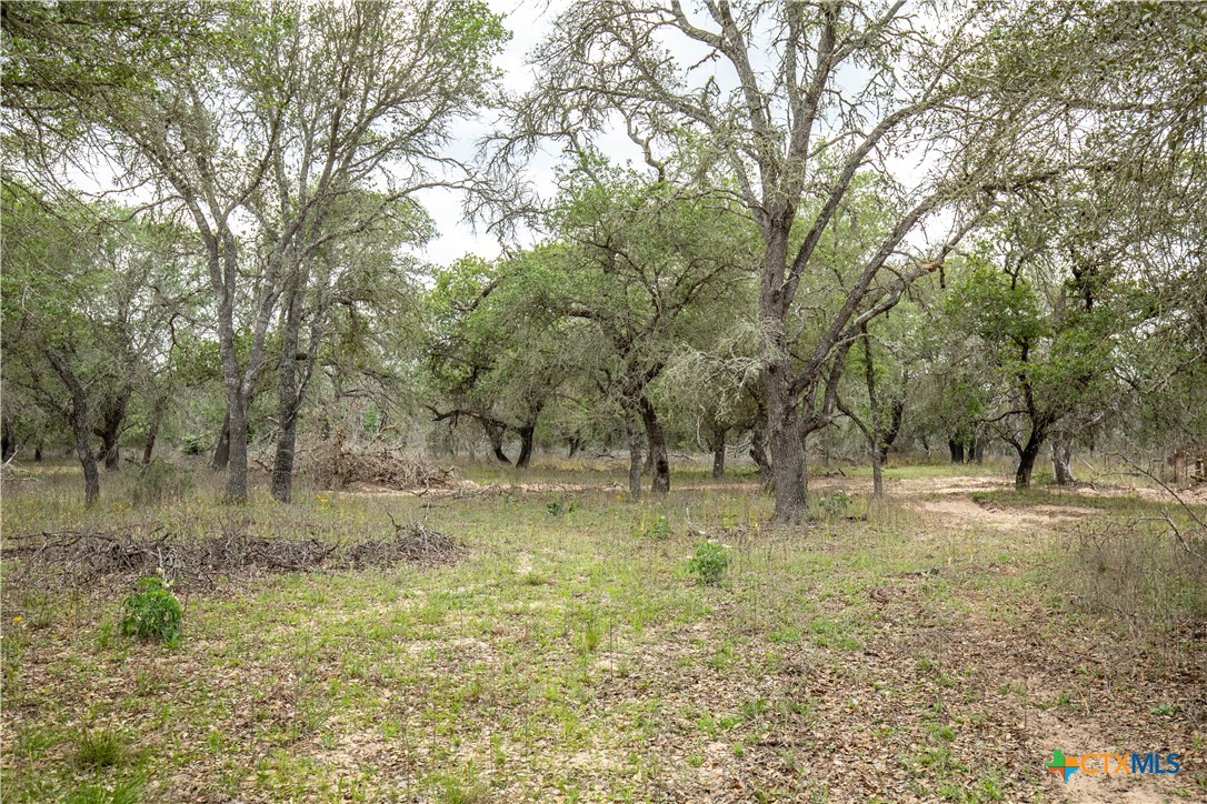 The Corner Pocket | 113 +/- Acres | Wilson County