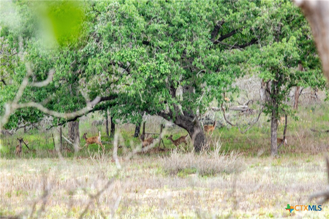 The Corner Pocket | 116 +/- Acres | Wilson County