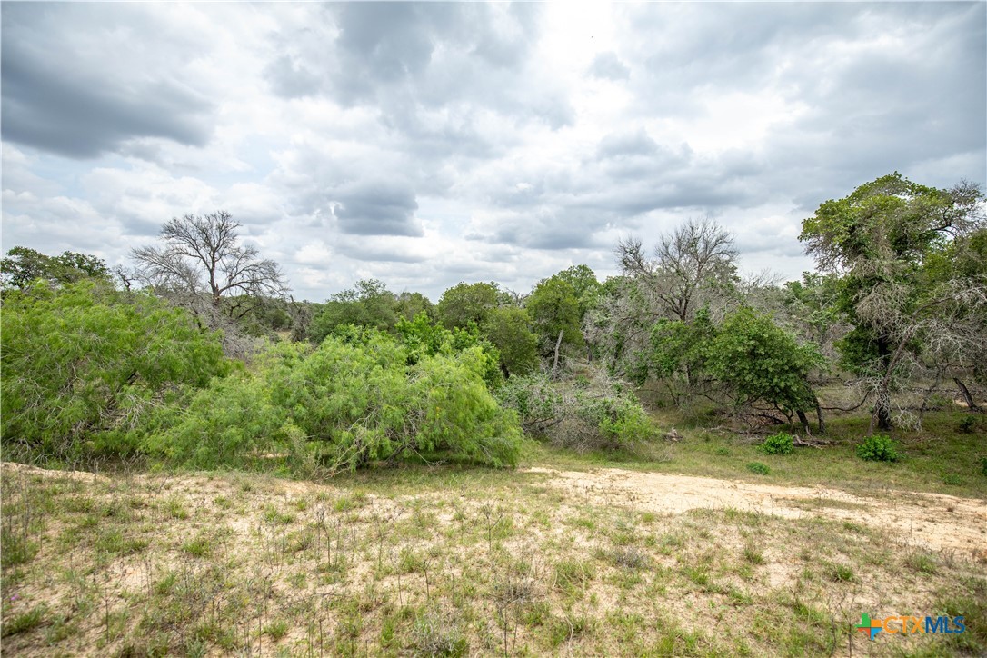 The Corner Pocket | 113 +/- Acres | Wilson County