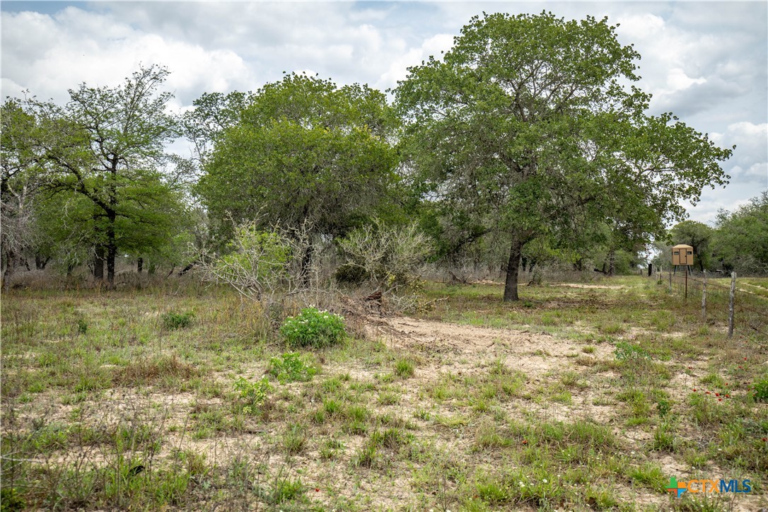 The Corner Pocket | 116 +/- Acres | Wilson County