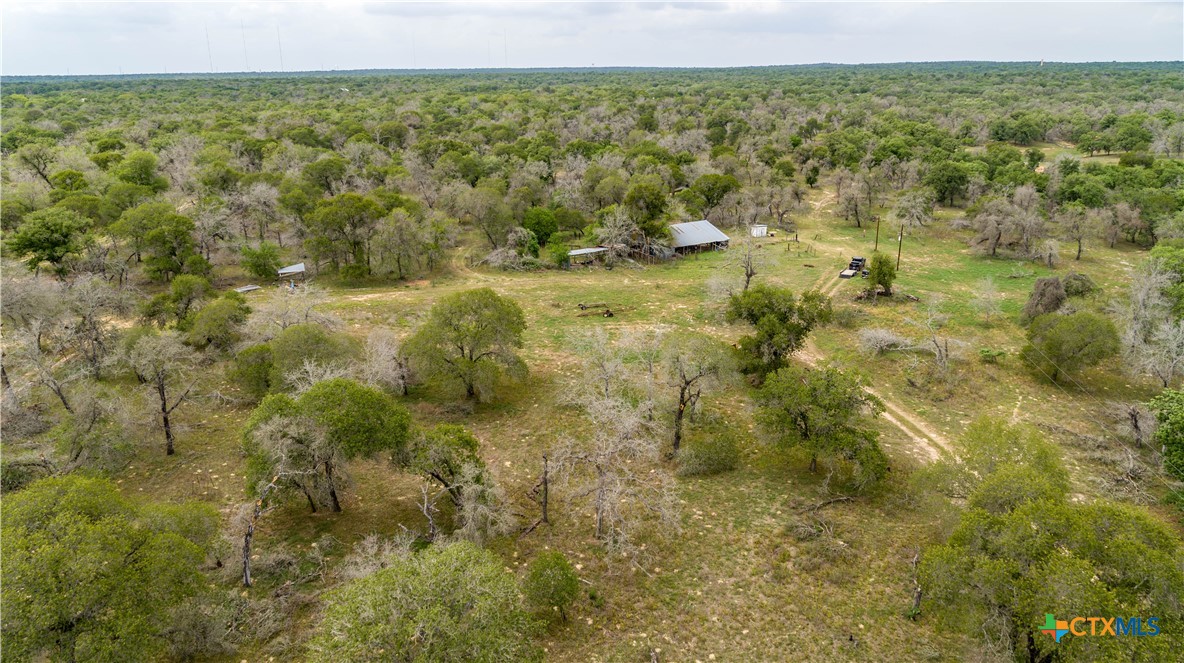 The Corner Pocket | 116 +/- Acres | Wilson County