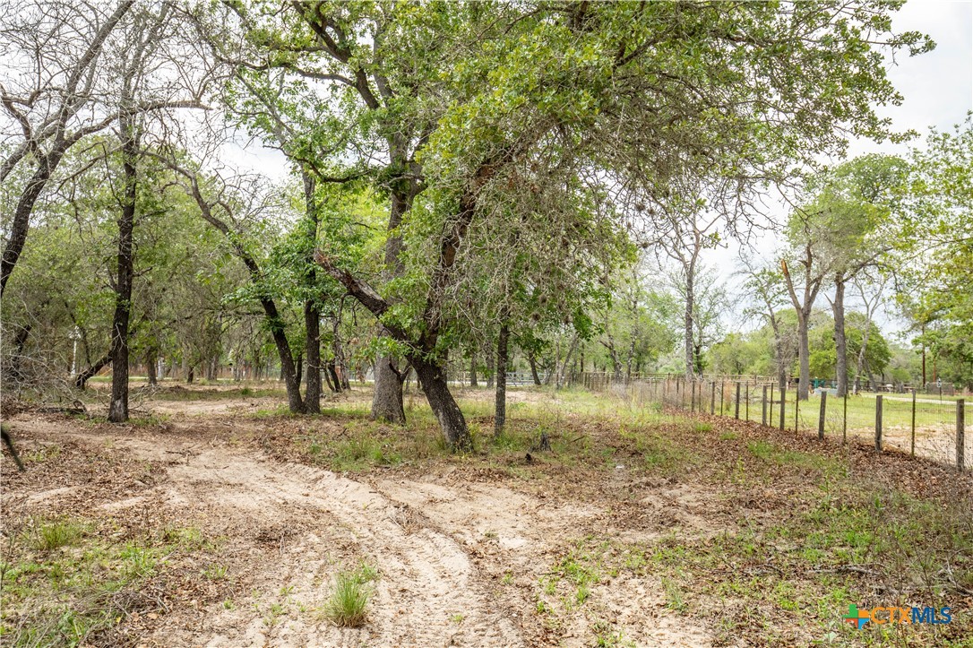 The Corner Pocket | 116 +/- Acres | Wilson County