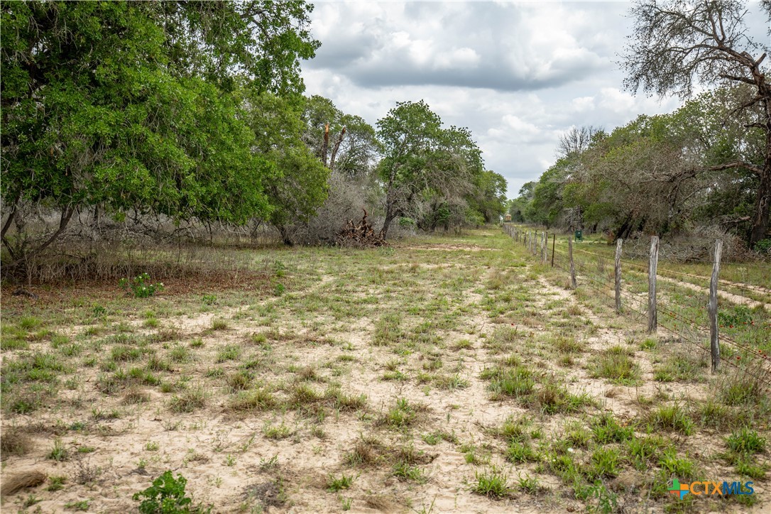 The Corner Pocket | 116 +/- Acres | Wilson County