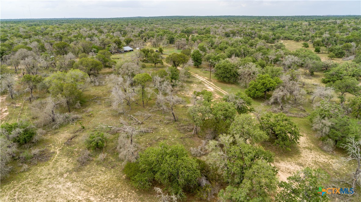 The Corner Pocket | 116 +/- Acres | Wilson County