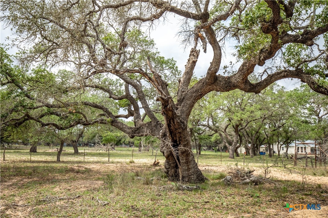 The Corner Pocket | 116 +/- Acres | Wilson County