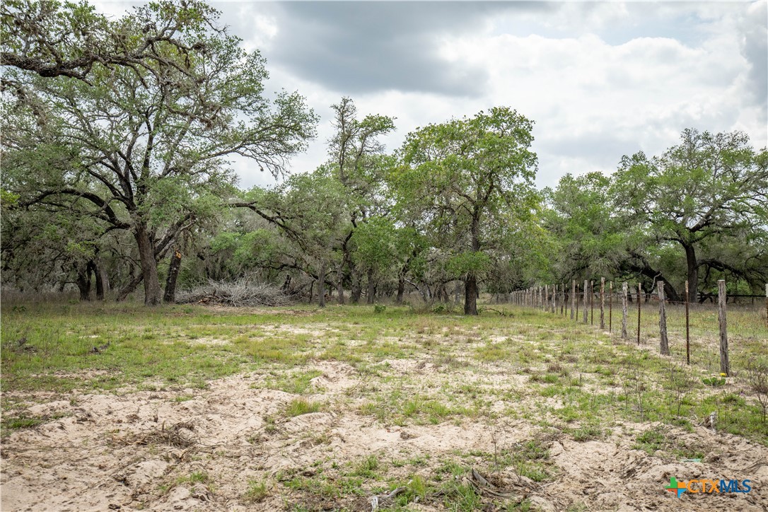 The Corner Pocket | 113 +/- Acres | Wilson County