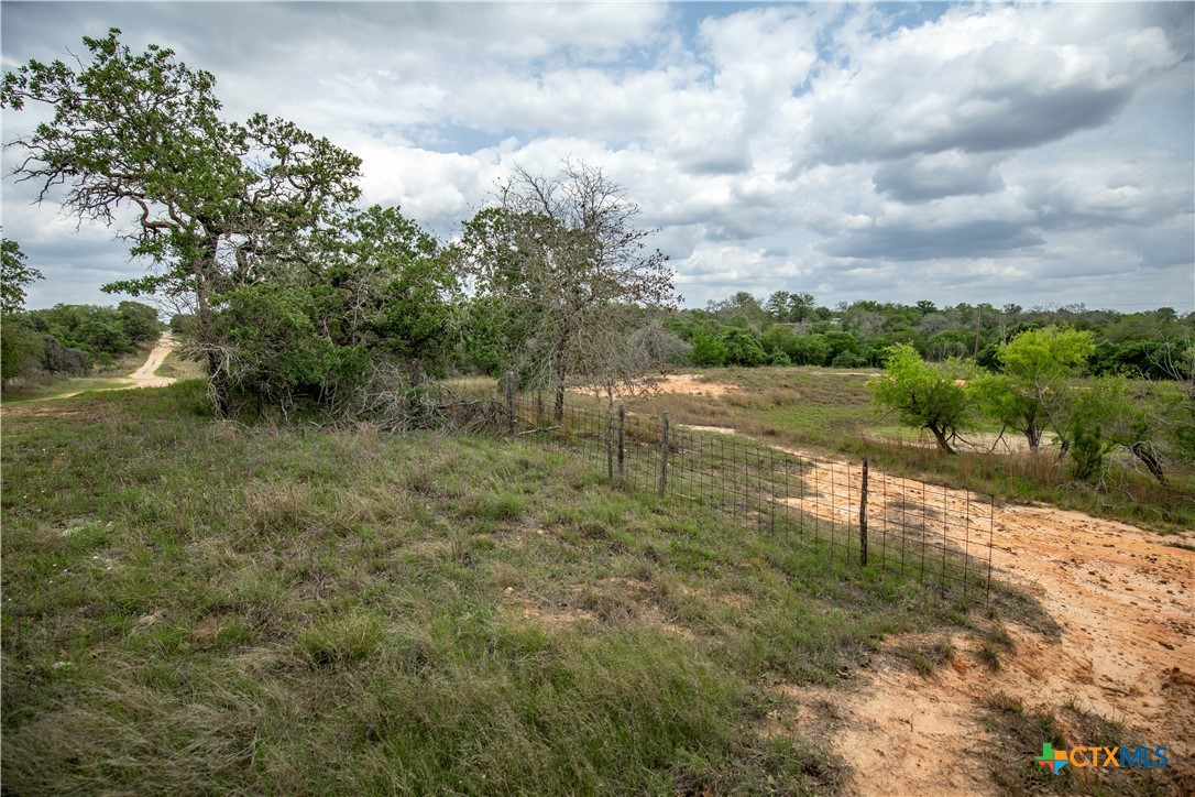 The Corner Pocket | 116 +/- Acres | Wilson County