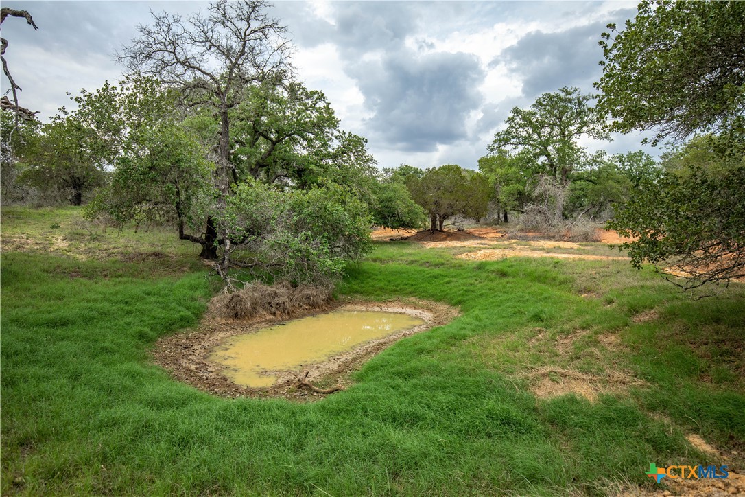 The Corner Pocket | 116 +/- Acres | Wilson County