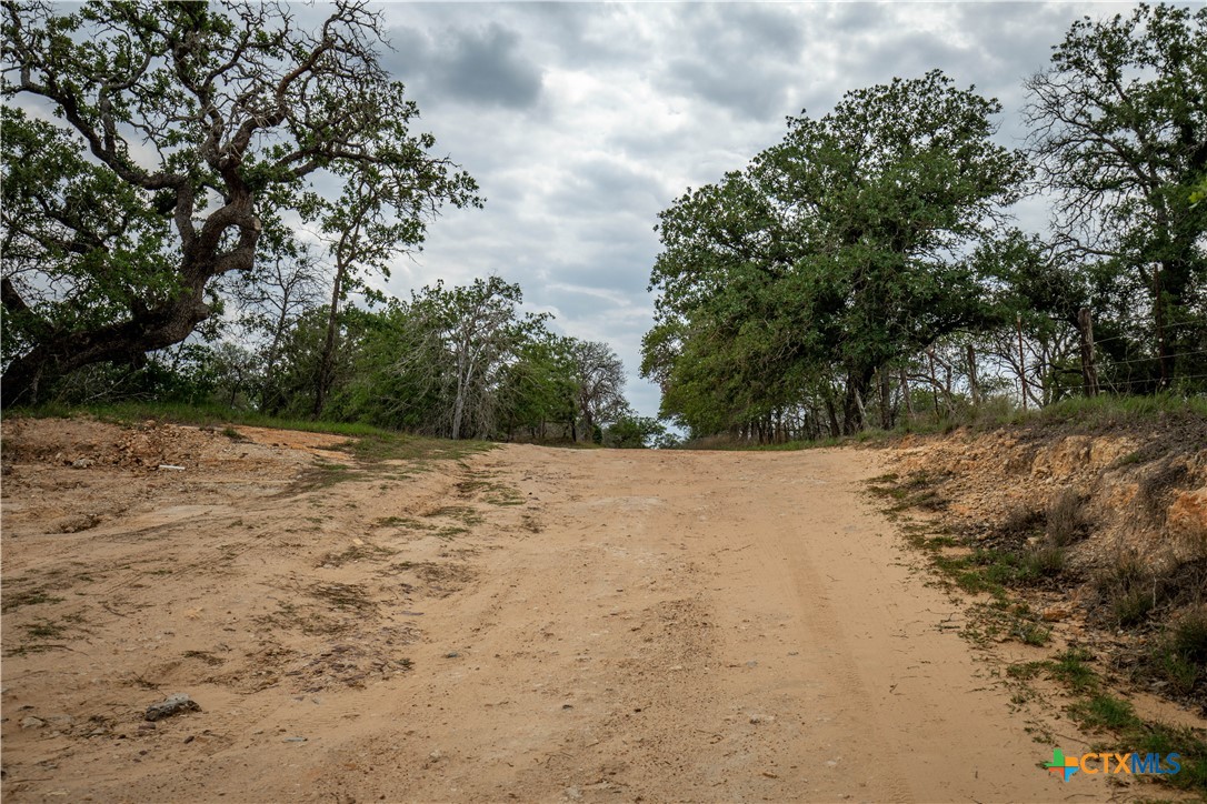 The Corner Pocket | 113 +/- Acres | Wilson County