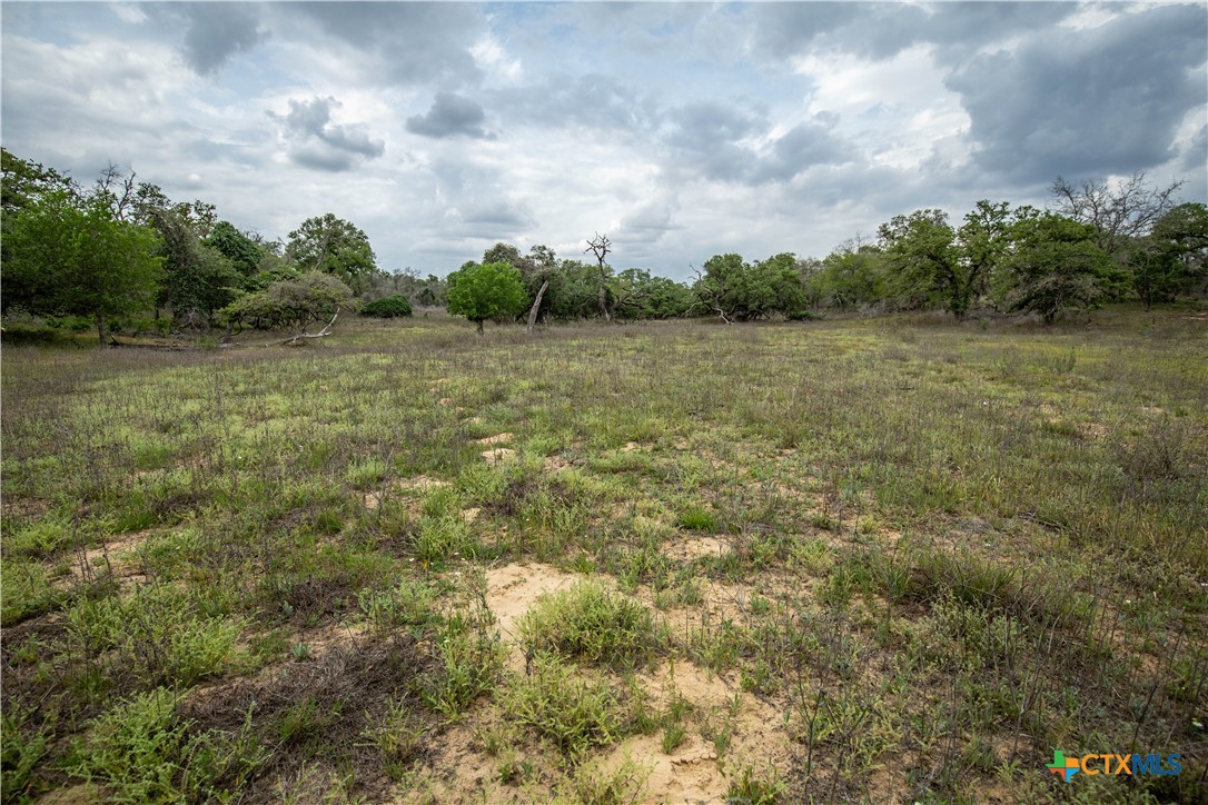 The Corner Pocket | 116 +/- Acres | Wilson County