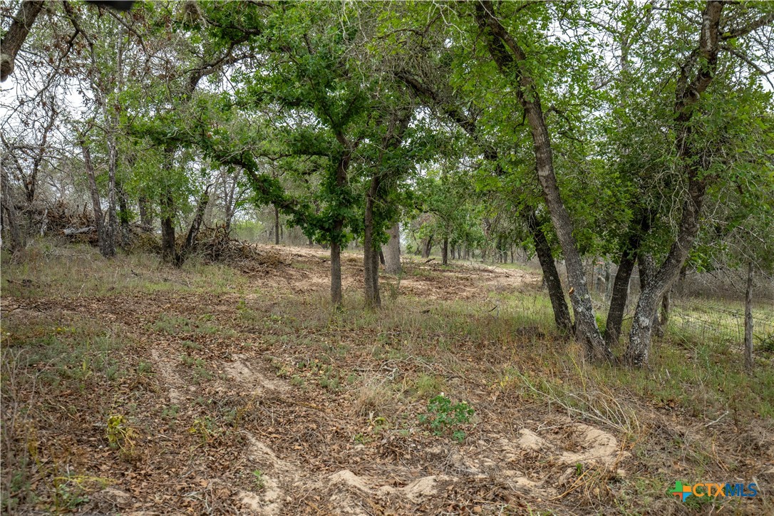 The Corner Pocket | 116 +/- Acres | Wilson County