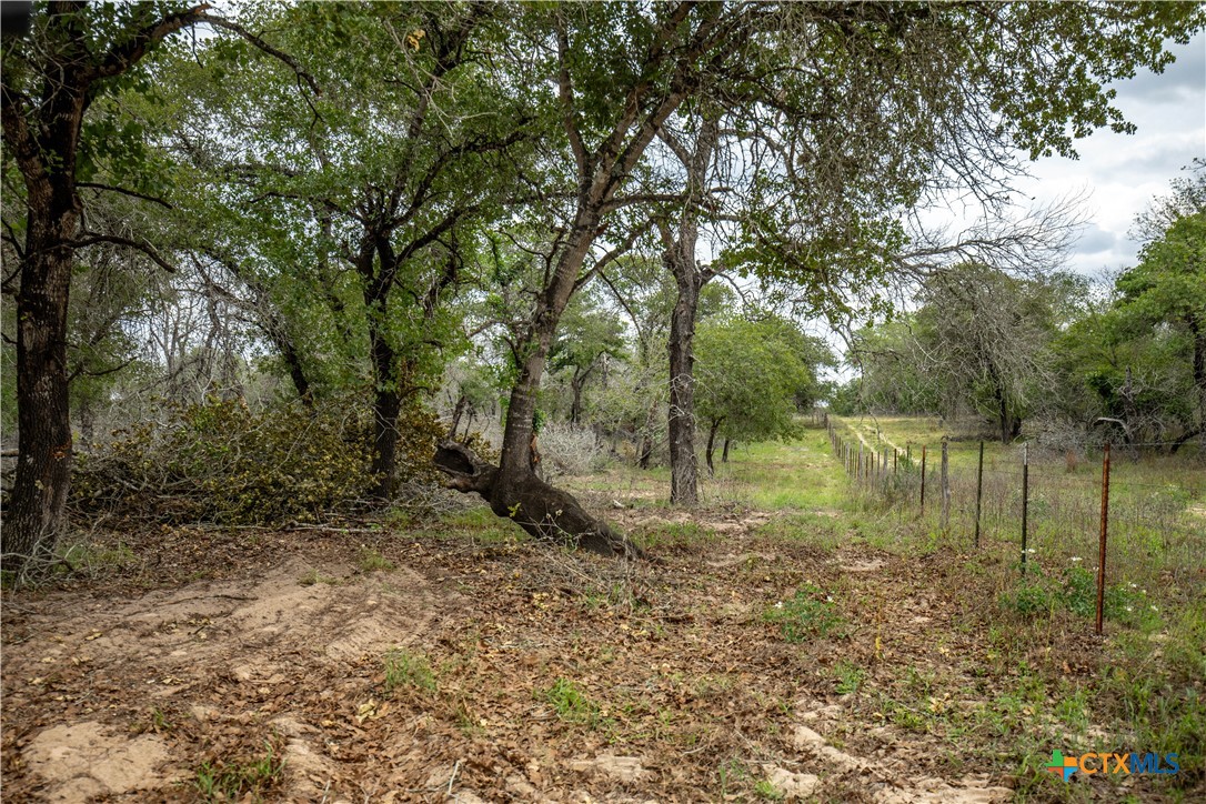 The Corner Pocket | 113 +/- Acres | Wilson County