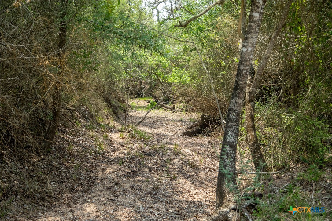 Five Mile Creek Reserve | 252.73± Acres-High Fence | DeWitt County, TX