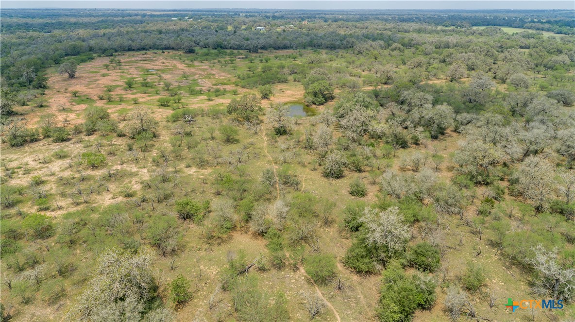 Five Mile Creek Reserve | 252.73± Acres-High Fence | DeWitt County, TX