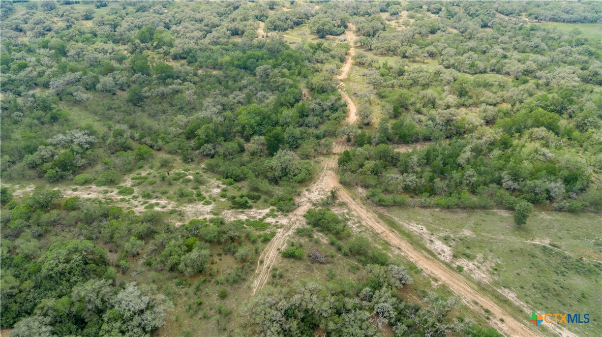 Five Mile Creek Reserve | 252.73± Acres-High Fence | DeWitt County, TX