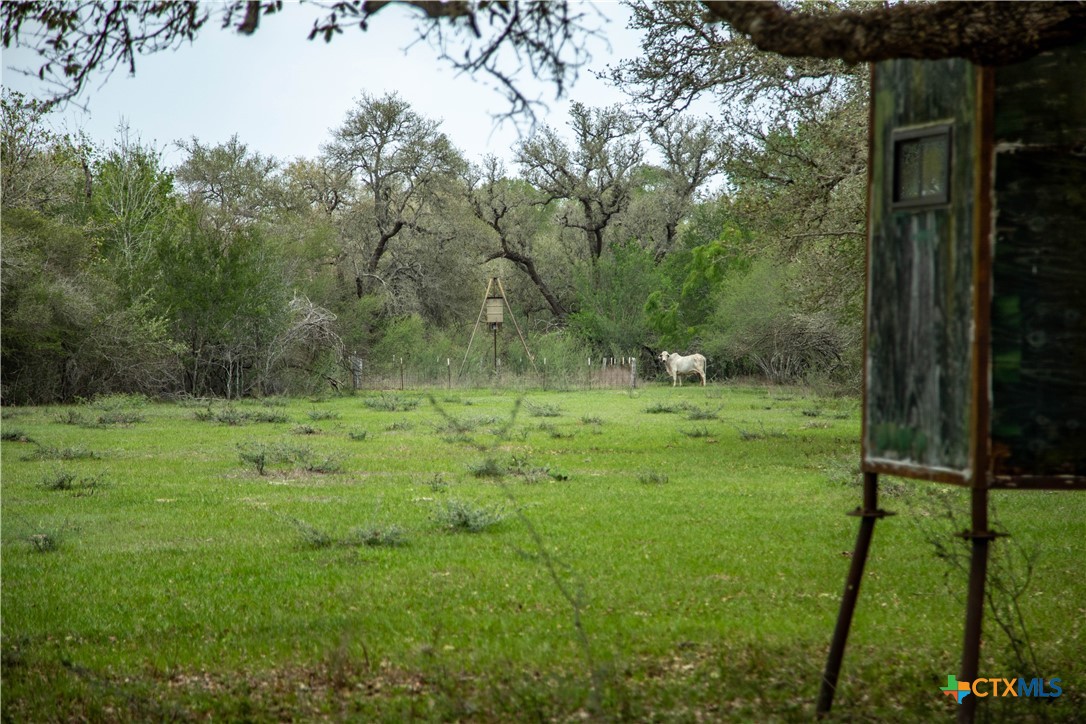 Five Mile Creek Reserve | 252.73± Acres-High Fence | DeWitt County, TX