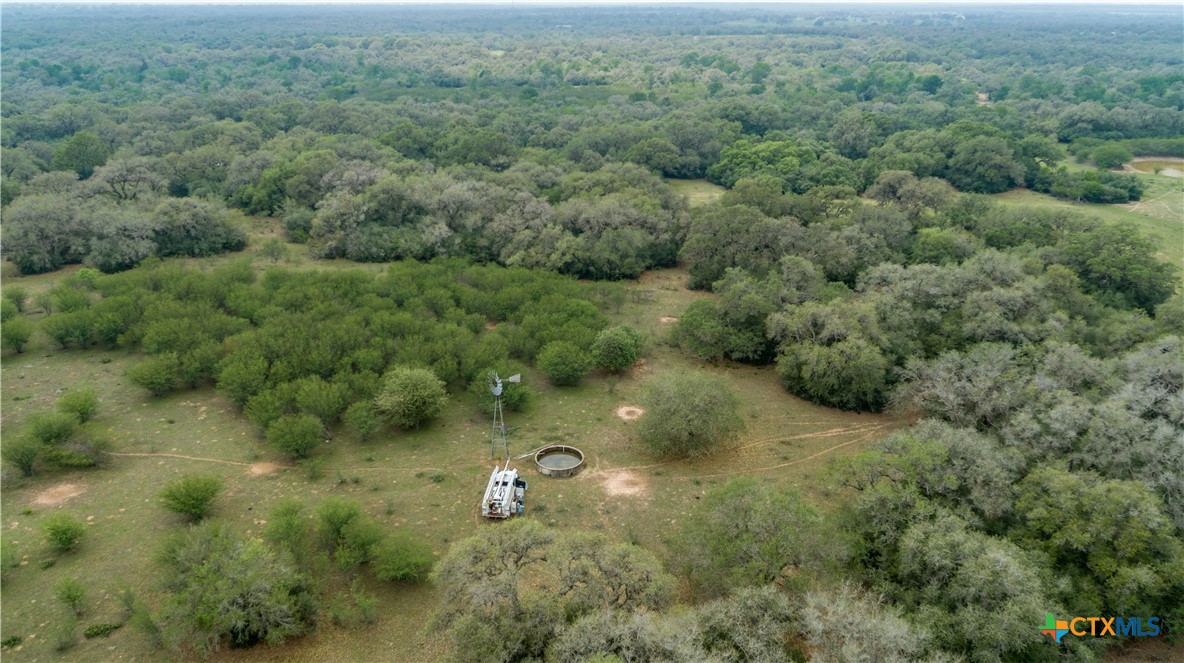 Five Mile Creek Reserve | 252.73± Acres-High Fence | DeWitt County, TX