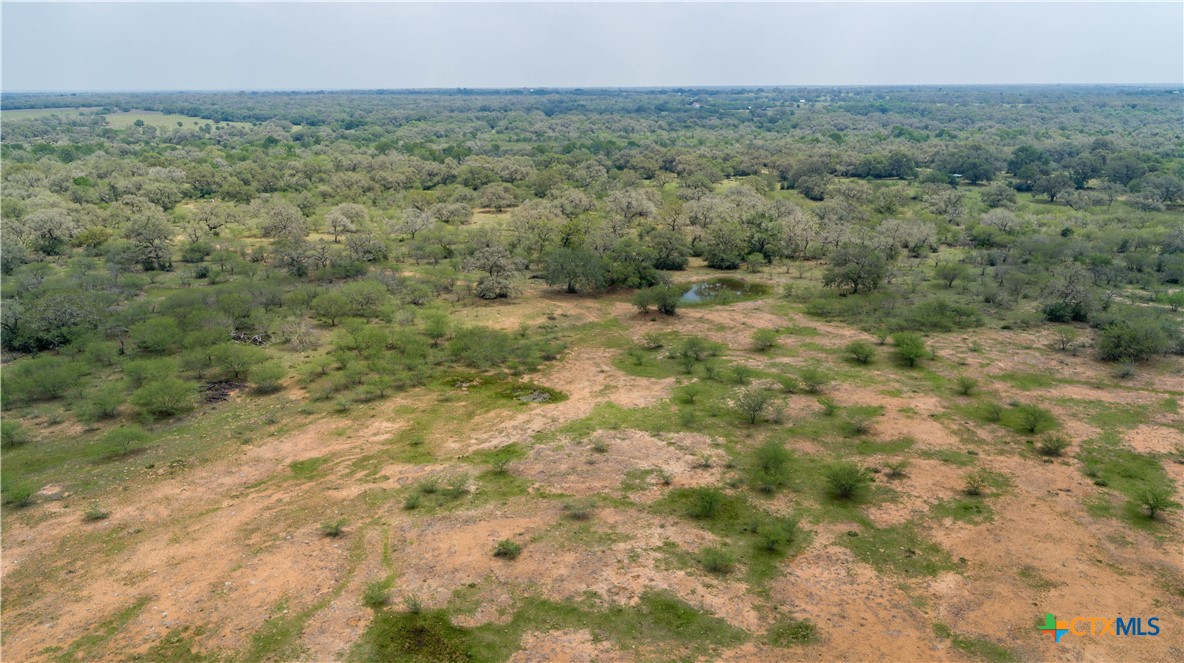 Five Mile Creek Reserve | 252.73± Acres-High Fence | DeWitt County, TX
