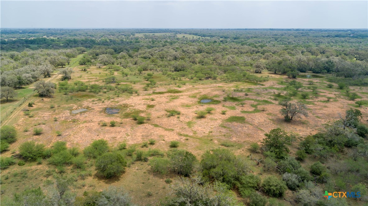 Five Mile Creek Reserve | 252.73± Acres-High Fence | DeWitt County, TX